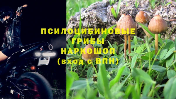 крисы Сосновоборск