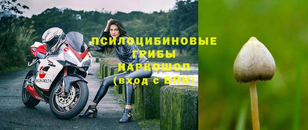гидра Сосновка